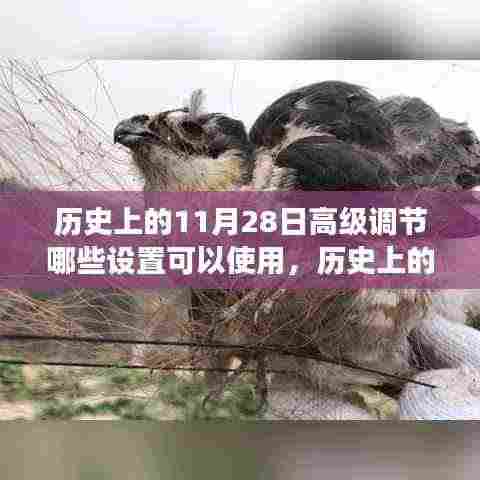 历史上的11月28日高级设置深度解析,功能特性、用户体验与对比分析