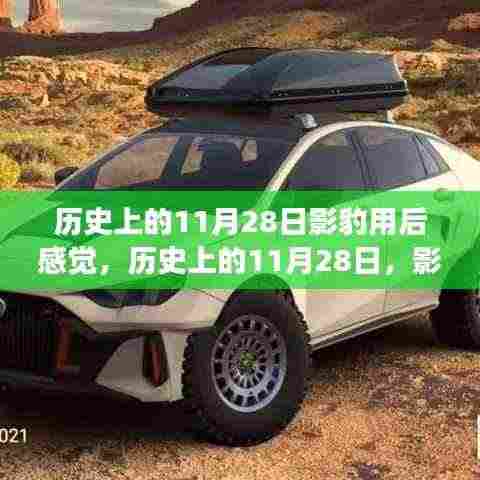 历史上的11月28日,影豹的成长启示录与自信之路