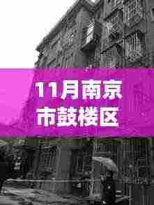 11月南京市鼓楼区汉中门大街118号，南京鼓楼区的温馨日常，鼓楼邻里间的趣事与情感纽带