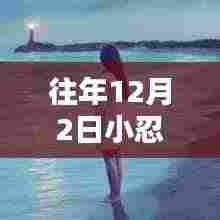 往年12月2日小忍最新版评测与详细介绍