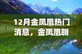 12月金凤凰翱翔全景解析,热门消息一览