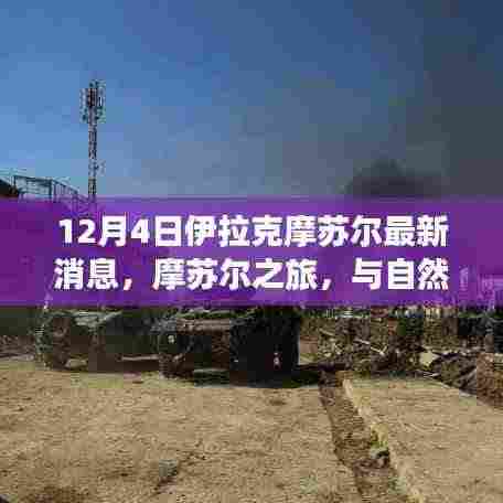 摩苏尔最新消息,自然美景与宁静之旅的邂逅启程