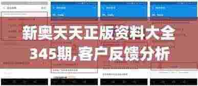 新奥天天正版资料大全345期,客户反馈分析落实_Executive4.205