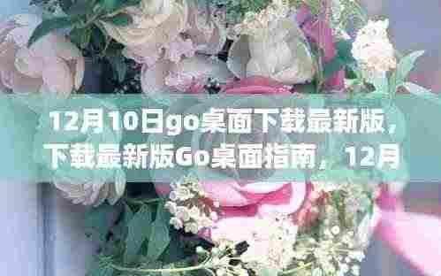 12月10日Go桌面最新版下载指南，全新体验一网打尽