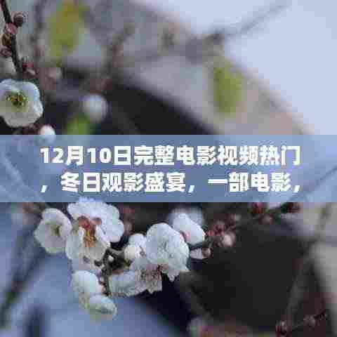 冬日观影盛宴,电影中的温情与挚友的陪伴时刻