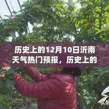 揭秘沂南历史天气变迁,十二月十日天气预报与气候变迁深度解析