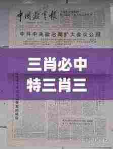 三肖必中特三肖三期内必中,实践说明解析_铂金版7.272