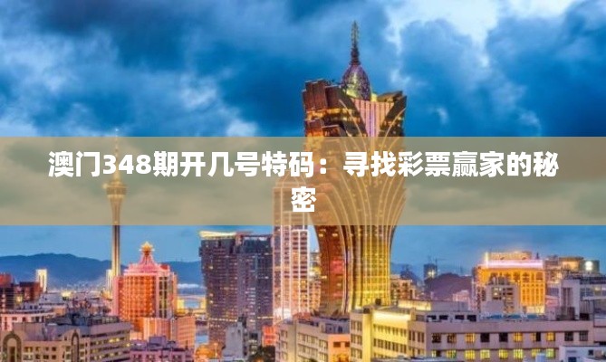 澳门348期开几号特码:寻找彩票赢家的秘密
