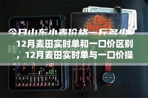 12月麦田实时单与一口价详解,操作指南与攻略大全