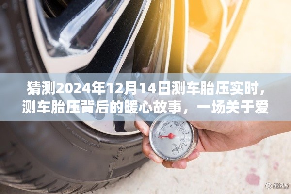 爱与陪伴的奇妙旅程,测车胎压背后的暖心故事,预测2024年12月14日实时体验分享