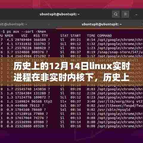 探讨Linux实时进程在非实时内核下的表现,历史视角的12月14日回顾