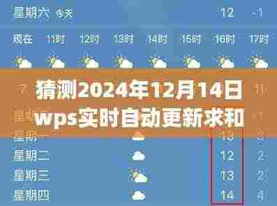 WPS实时自动更新求和,拥抱变化,自信成就梦想之旅