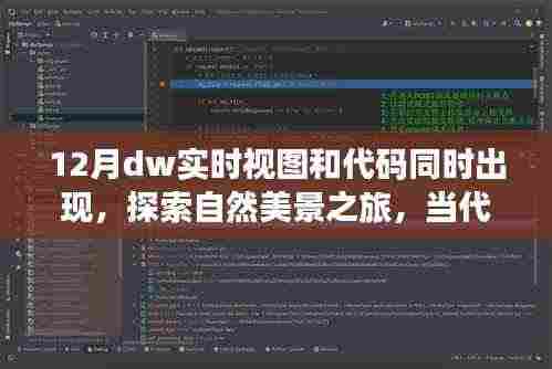 十二月奇妙时刻,代码与自然美景的交融之旅