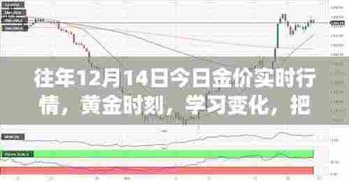 黄金时刻,把握行情,自信闪耀的励志之旅——历年12月14日金价实时行情解析