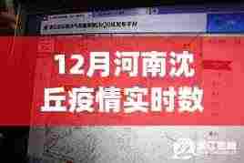 河南沈丘疫情实时数据与疫情下的自然之旅,寻找内心宁静与力量