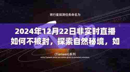 探索自然秘境的心灵之旅，非实时直播如何避免封禁，开启心灵之旅