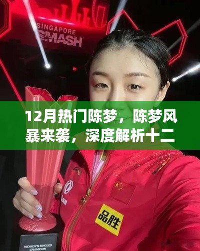 陈梦风暴来袭,深度解析十二月热门产品的特性与体验