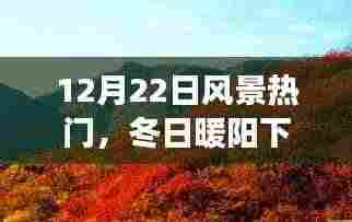 冬日暖阳下的奇妙探险之旅,启程于风景热门的内心平静之旅(12月22日)