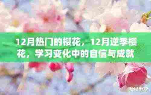 鼓舞人心的旅程,逆季樱花下的自信与成就感之路