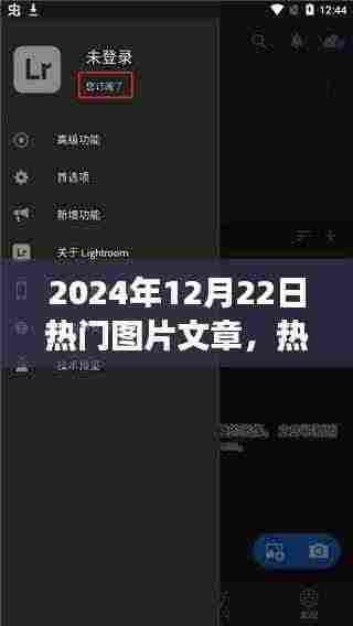 2024年12月22日热门图片文章深度解析,图片在信息传播中的影响力与观点探讨