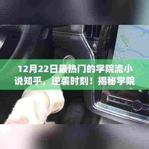 揭秘学院流小说的魅力,自信与成就感的逆袭蜕变之旅(热门小说解析)