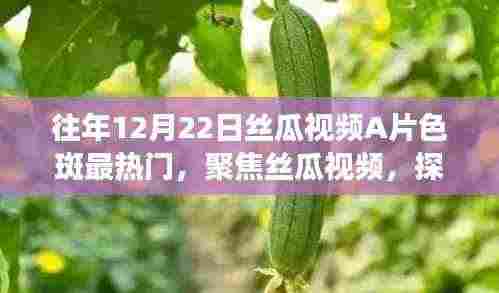 警惕！丝瓜视频内容与热度的双刃剑效应，聚焦色斑话题的争议与反思