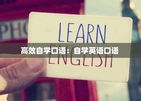 高效自学口语:自学英语口语