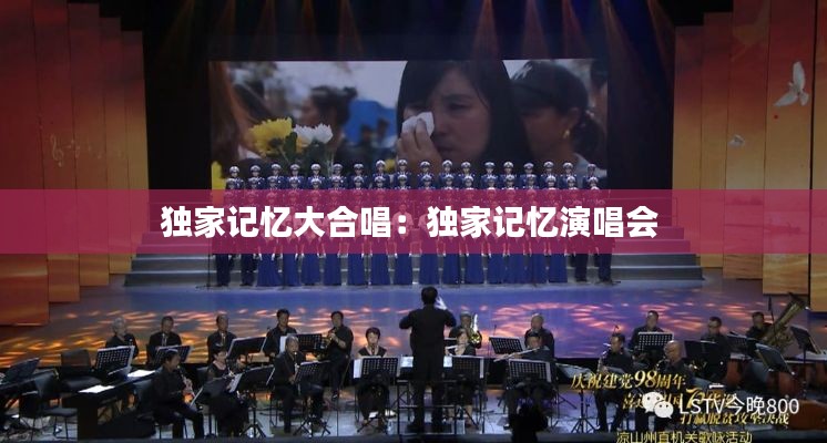 独家记忆大合唱:独家记忆演唱会