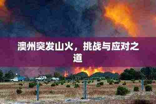 澳州突发山火，挑战与应对之道