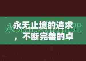 永无止境的追求,不断完善的卓越旅程