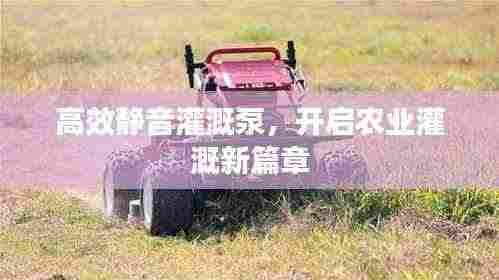 高效静音灌溉泵,开启农业灌溉新篇章