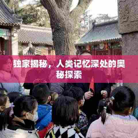 独家揭秘，人类记忆深处的奥秘探索