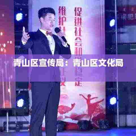 青山区宣传局:青山区文化局