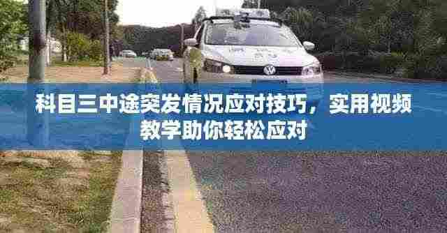 科目三中途突发情况应对技巧，实用视频教学助你轻松应对