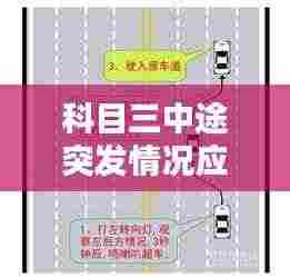 科目三中途突发情况应对技巧,实用视频教学助你轻松应对