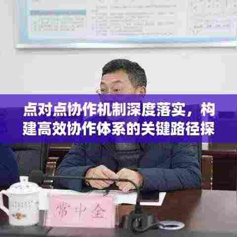 点对点协作机制深度落实，构建高效协作体系的关键路径探索