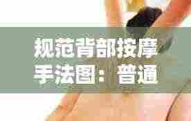 规范背部按摩手法图:普通按摩手法背部