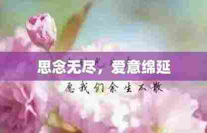思念无尽，爱意绵延