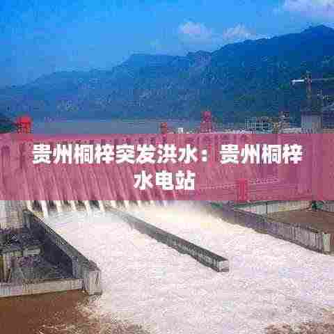 贵州桐梓突发洪水：贵州桐梓水电站 