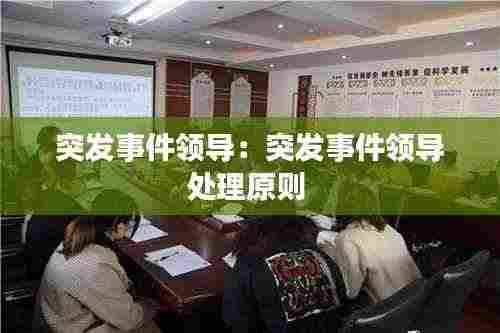 突发事件领导:突发事件领导处理原则