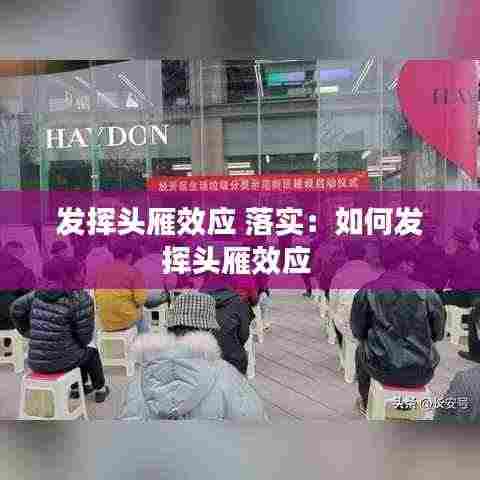 发挥头雁效应 落实:如何发挥头雁效应