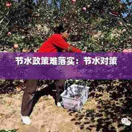 节水政策难落实:节水对策
