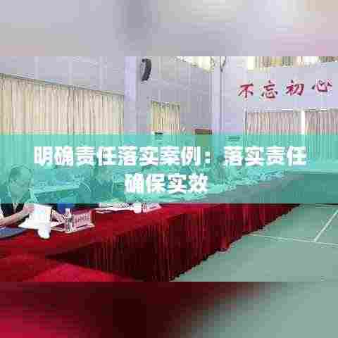 明确责任落实案例:落实责任确保实效