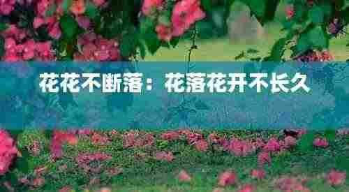 花花不断落:花落花开不长久
