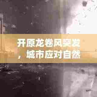 开原龙卷风突发,城市应对自然灾害的挑战与实战检验