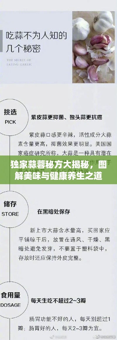 独家蒜蓉秘方大揭秘,图解美味与健康养生之道