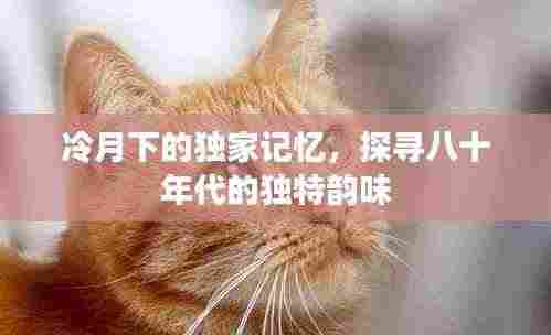冷月下的独家记忆,探寻八十年代的独特韵味