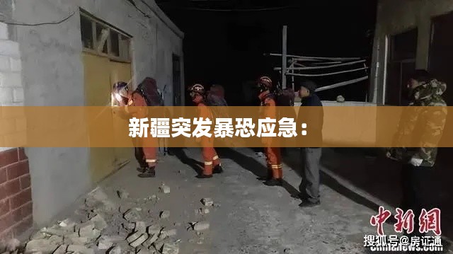 新疆突发暴恐应急: