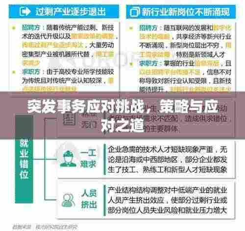 突发事务应对挑战,策略与应对之道