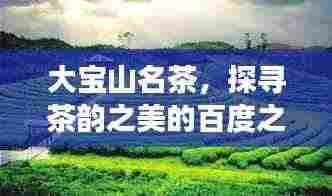大宝山名茶,探寻茶韵之美的百度之旅